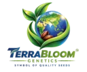 TerraBloom Seeds