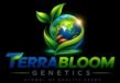 Terrabloom Seeds