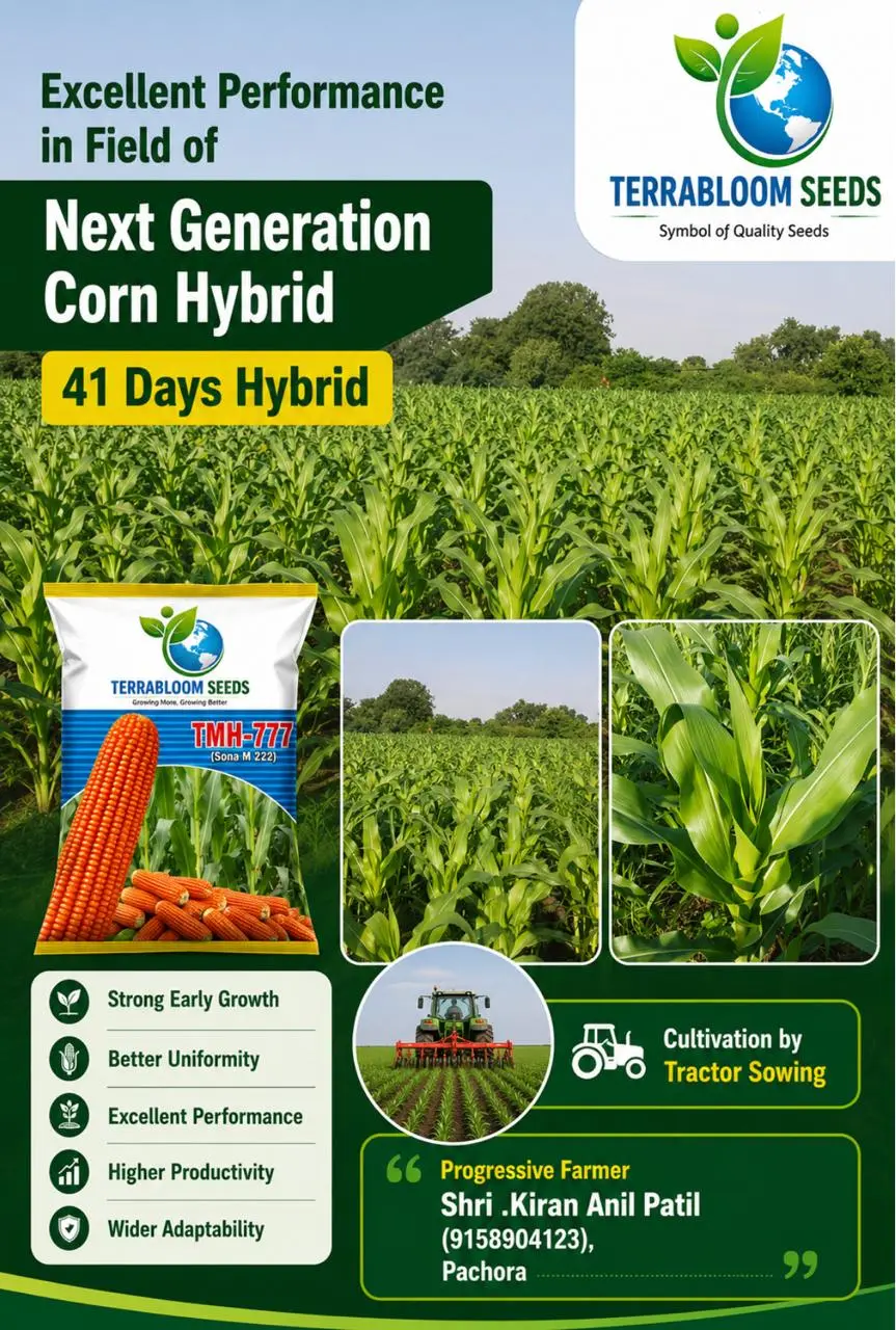 Next Generation Corn Hybrid: TMH 777