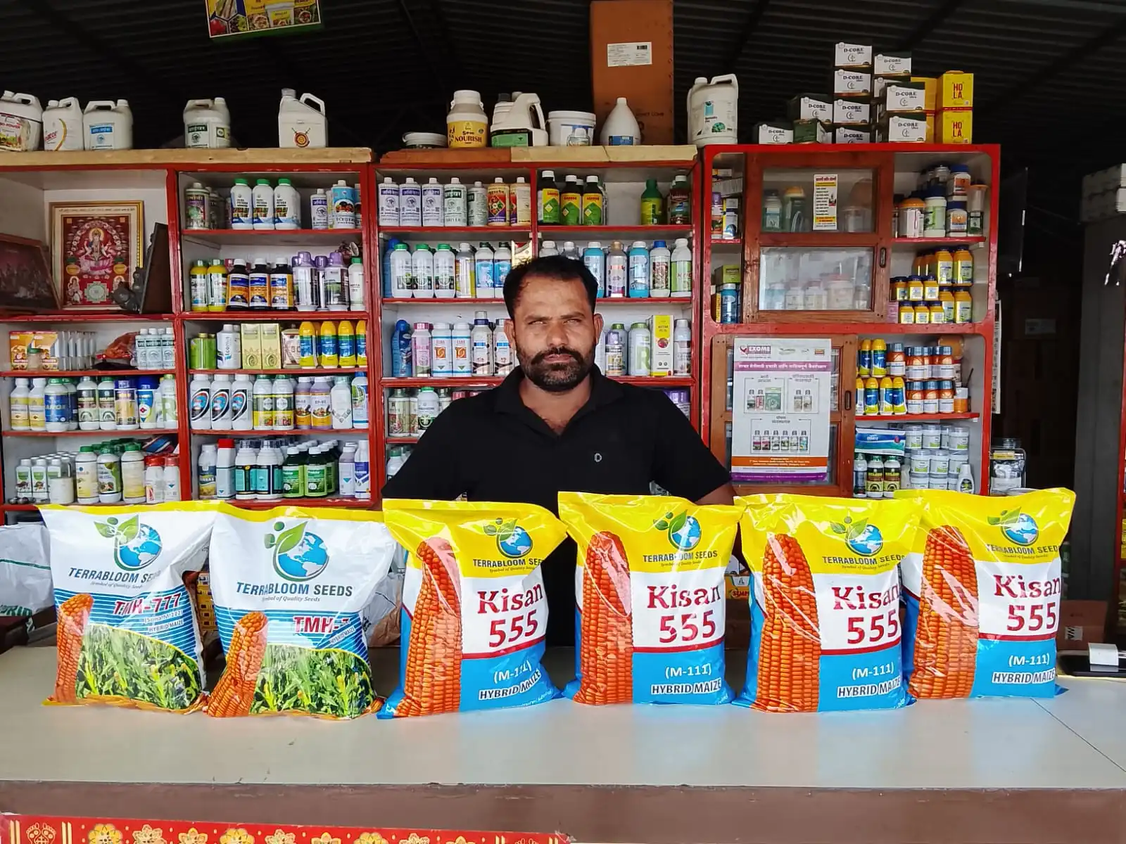 Choosing the Right Hybrid: Kisan 555 vs. TMH-777 for Optimum Farm Returns